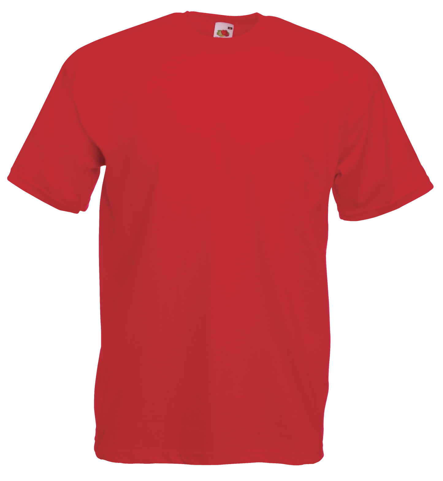 Adult T-Shirt