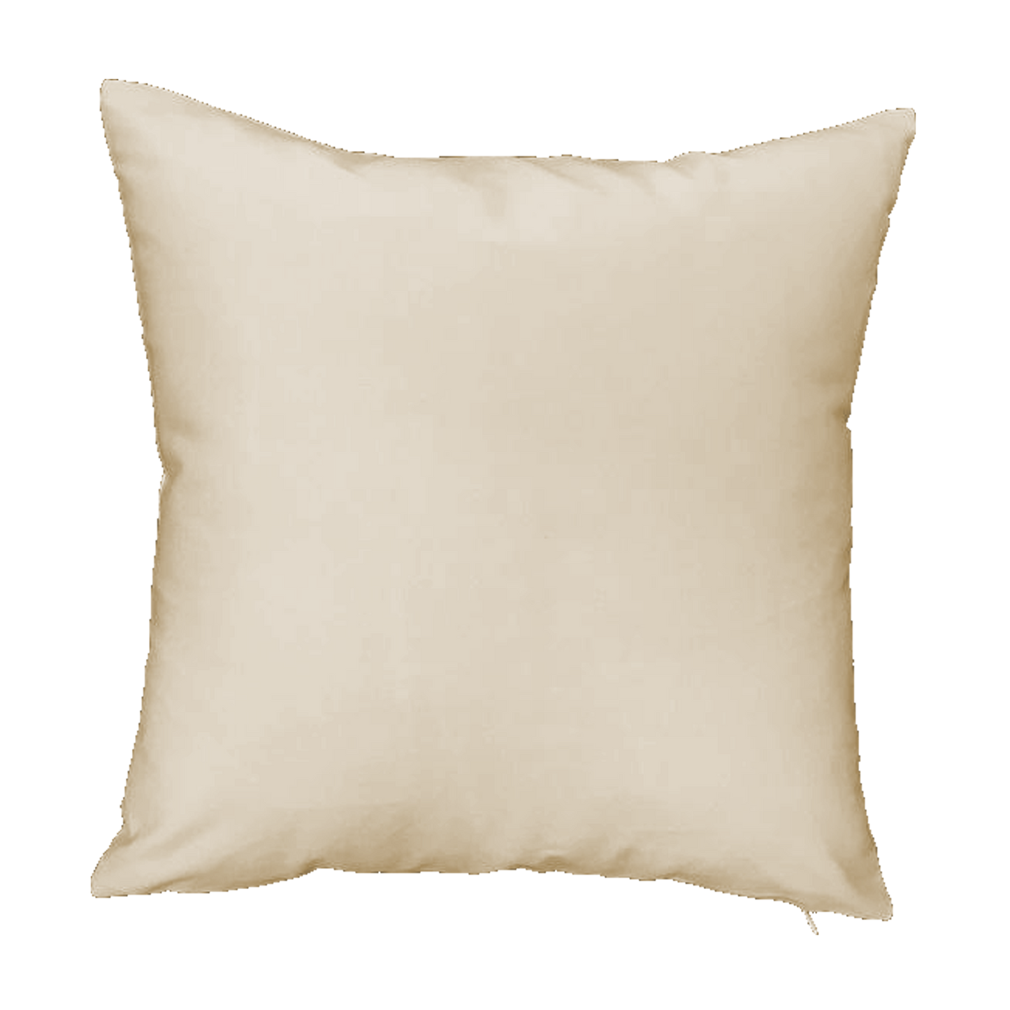 Custom Cushion 888