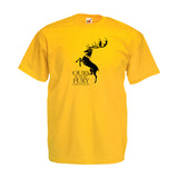 House Baratheon