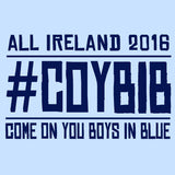Dublin #COYBIB, Come On You Boys In Blue