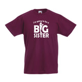 I'm Going To Be A Big Sister