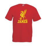 Liverpool Football