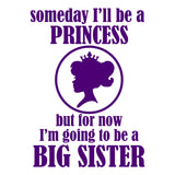 Princess Big Sister