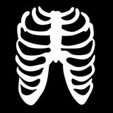 Skeleton
