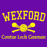 Wexford GAA